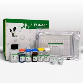 Huamn TALIN2(TLN-2) ELISA kit
